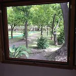 Paradiso *