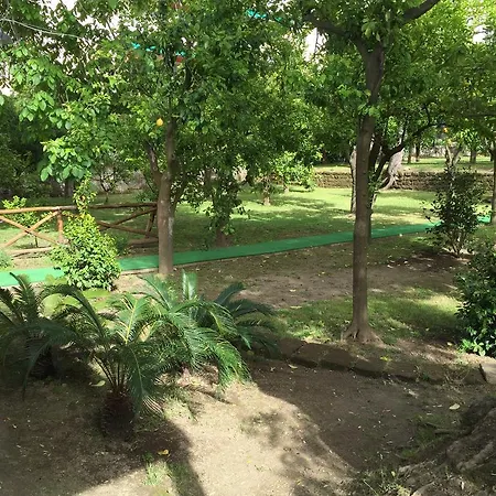 Paradiso Nyaraló *