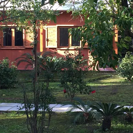 Paradiso Σορέντο