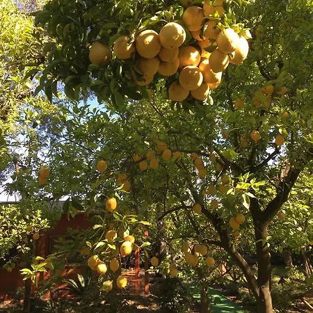 Paradiso * Σορέντο