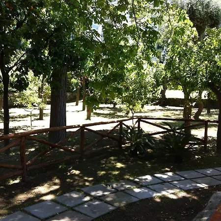 Paradiso Nyaraló