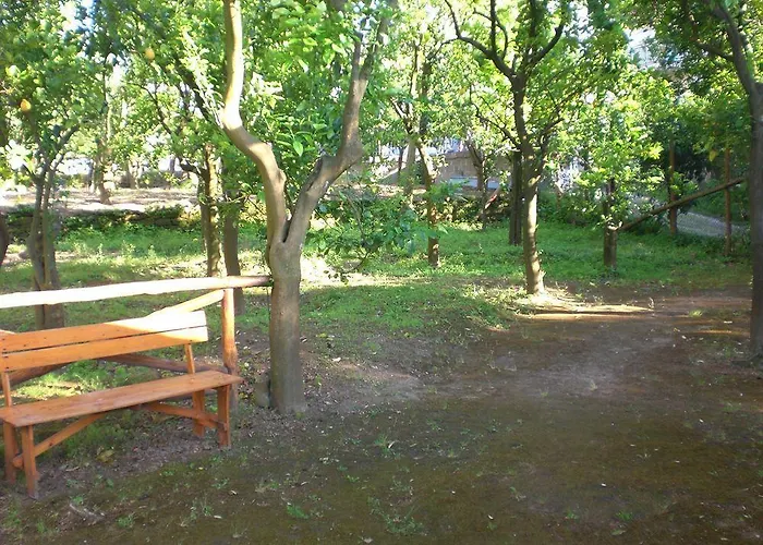 Paradiso Vakantiehuis *