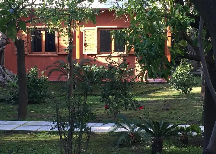 Paradiso ソレント