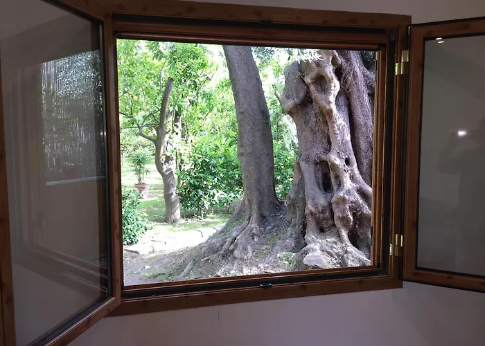 Paradiso Holiday home Sorrento