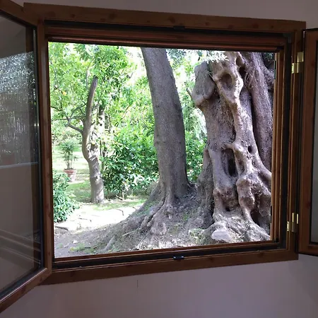 Paradiso Будинок відпочинку Сорренто